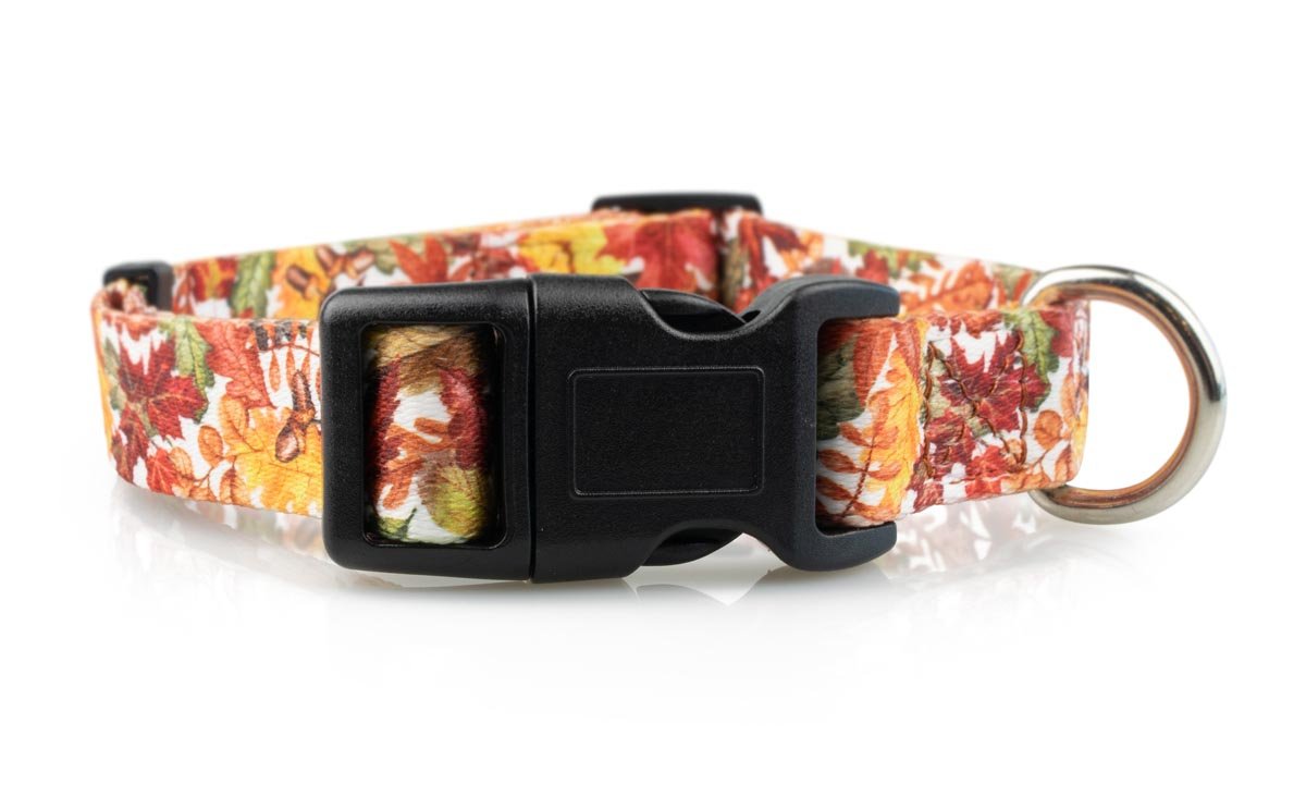 Fall Dog Collars - 7 - Limeloot
