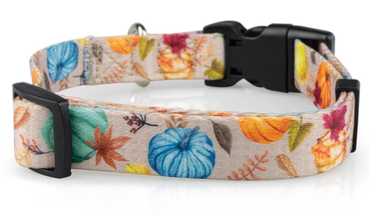 Fall Dog Collars - 8 - Limeloot