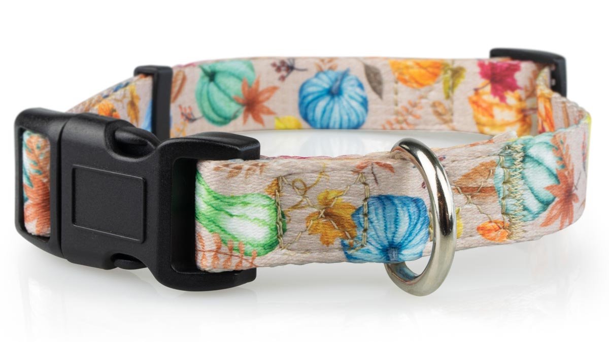 Fall Dog Collars - 9 - Limeloot