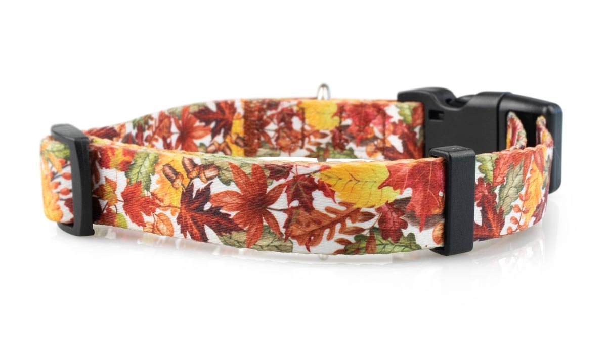 Fall Dog Collars - 6 - Limeloot