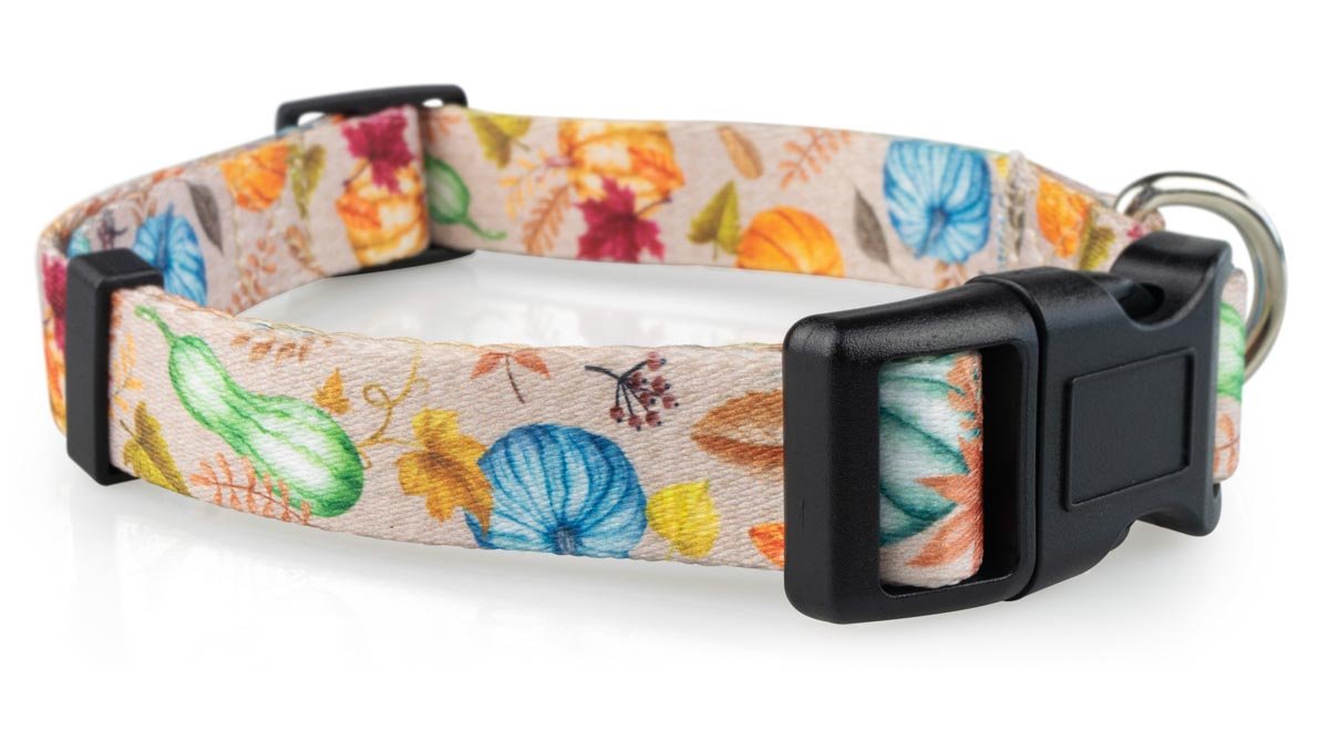Fall Dog Collars - 2 - Limeloot