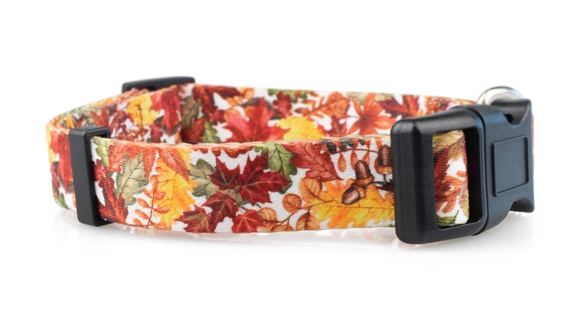Fall Dog Collars - 1 - Limeloot