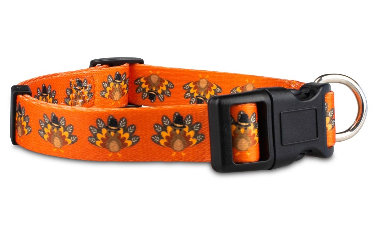 Fall Dog Collars - 3 - Limeloot