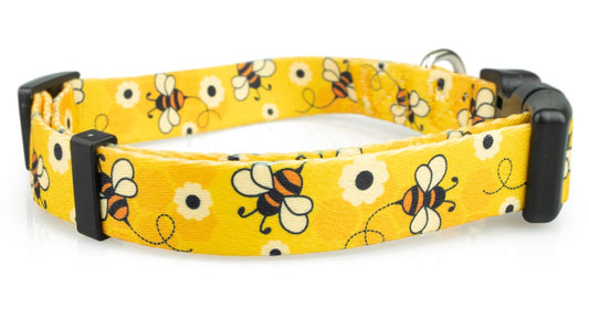 Bees Dog Collar