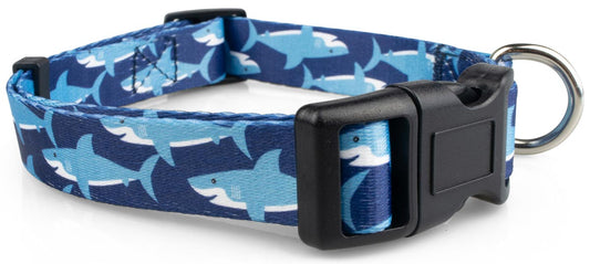 Sharks Dog Collar